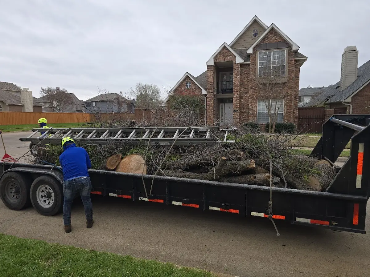 Expert Tree Fertilization with proper safety equipment in Kelly